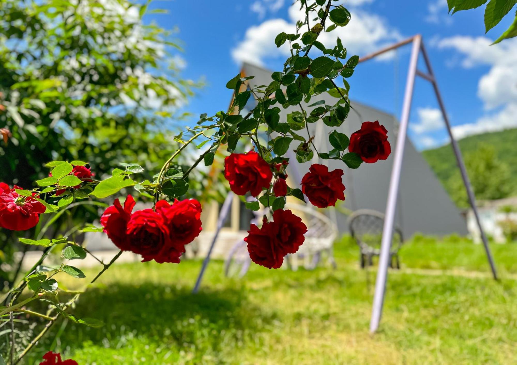 Qafqaz Family Chalet Kebele Dış mekan fotoğraf